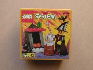Witch and Fireplace #2872
