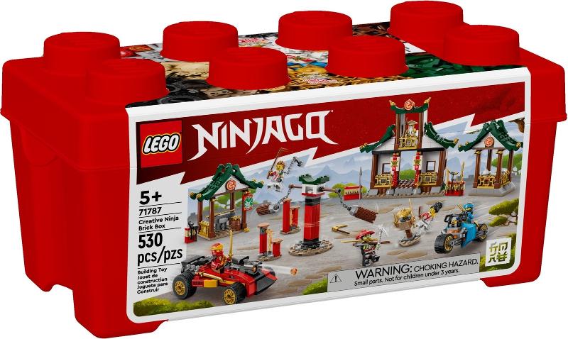 Creative Ninja Brick Box #71787