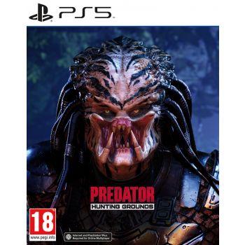Predator Hunting Grounds