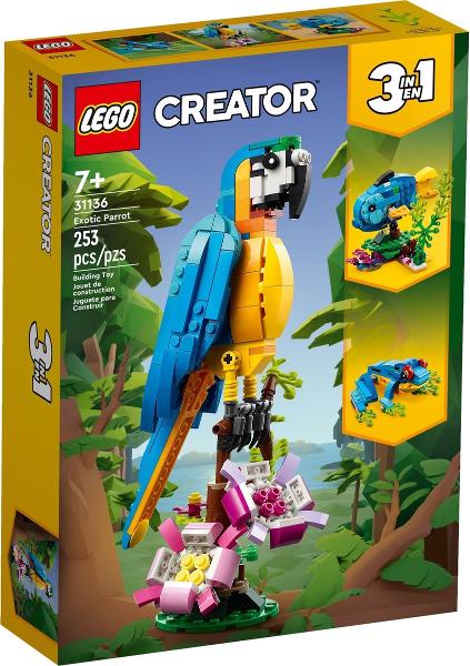 Exotic Parrot #31136