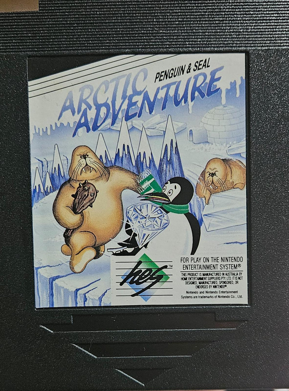 Arctic Adventure
