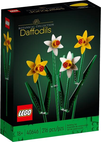 Daffodils #40646