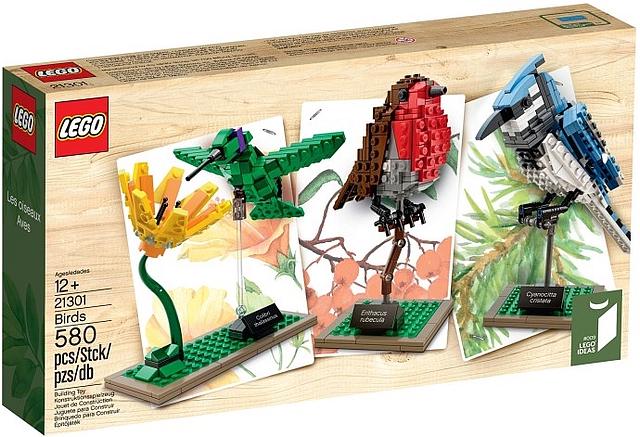 Birds #21301