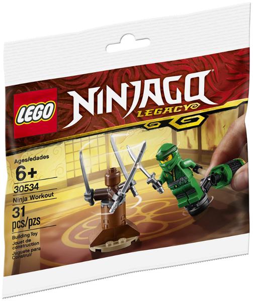 Ninja Workout #30534