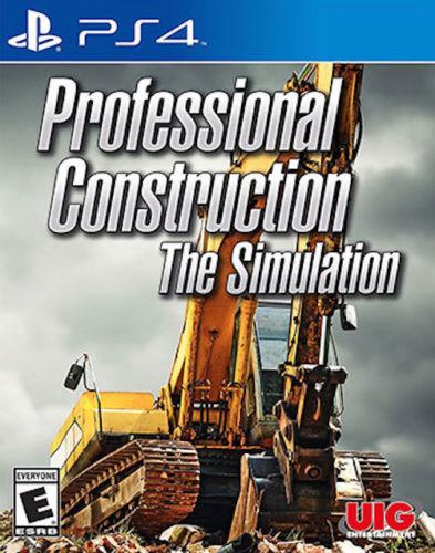 Professional Construction The Simulation
