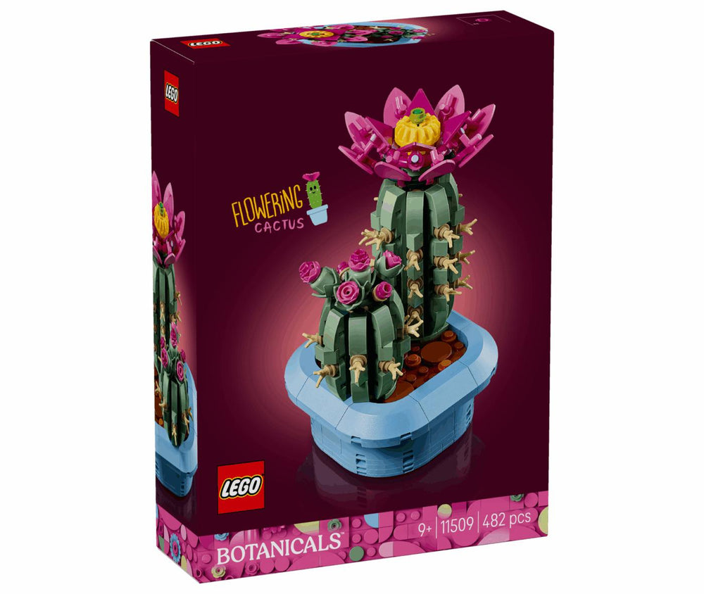 Flowering Cactus #11509