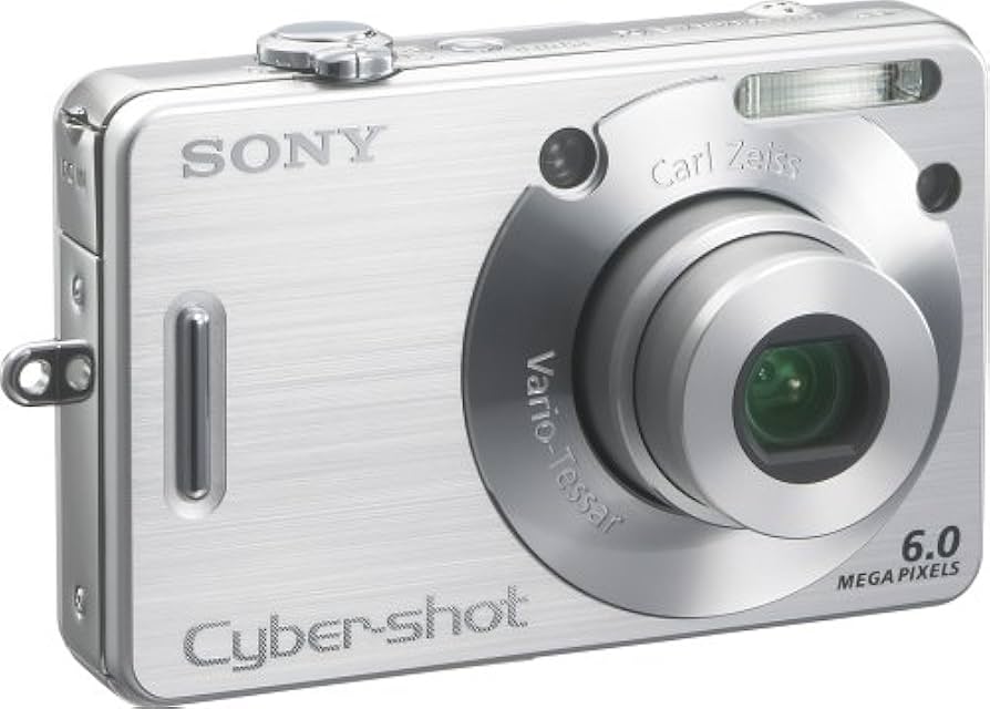 Sony Cyber-shot DSC-W50 - Compact Camera