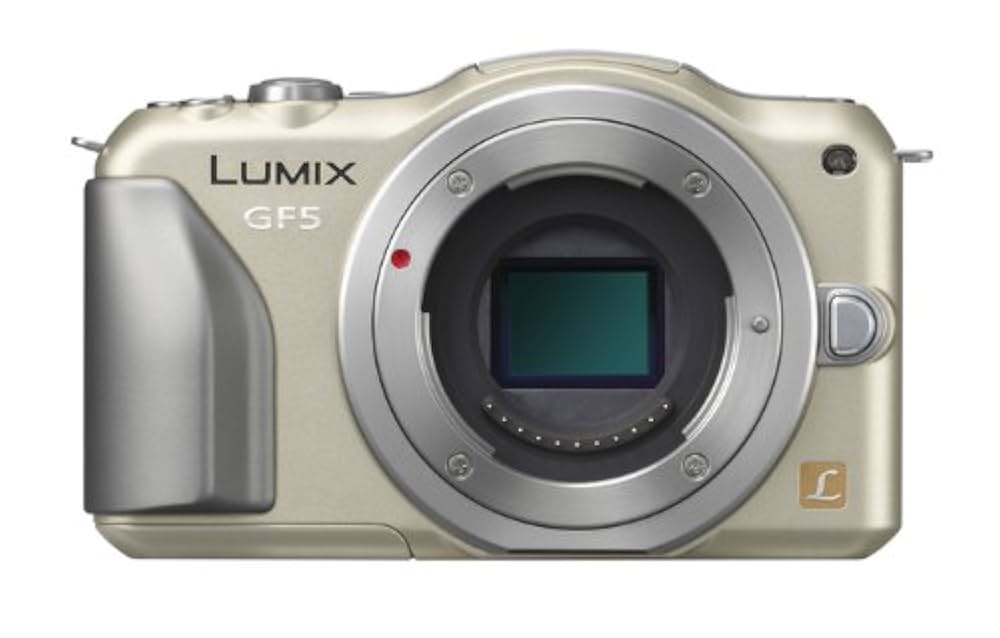 Panasonic Lumix DMC-GF5 (Body) Systeemcamera