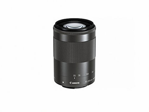 Canon 55-200mm f/4.5-6.3 IS STM Camera Lens