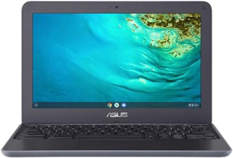 Asus Chromebook C202X