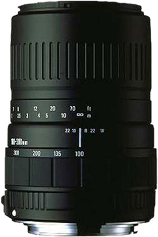 100-300mm F4.5-6.7 DL (Nikon)