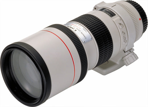 Canon EF 300mm f/4L USM White Lens