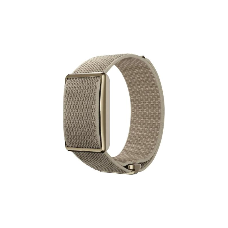 Polar Loop Gen 2 (2025)