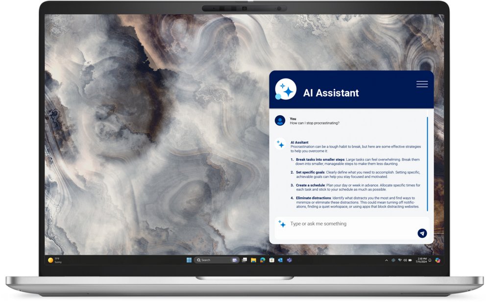 Dell Pro 16 Plus PB16250