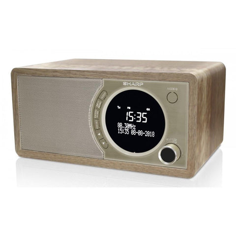 DR-450(BR) DAB+ and FM Digital Radio