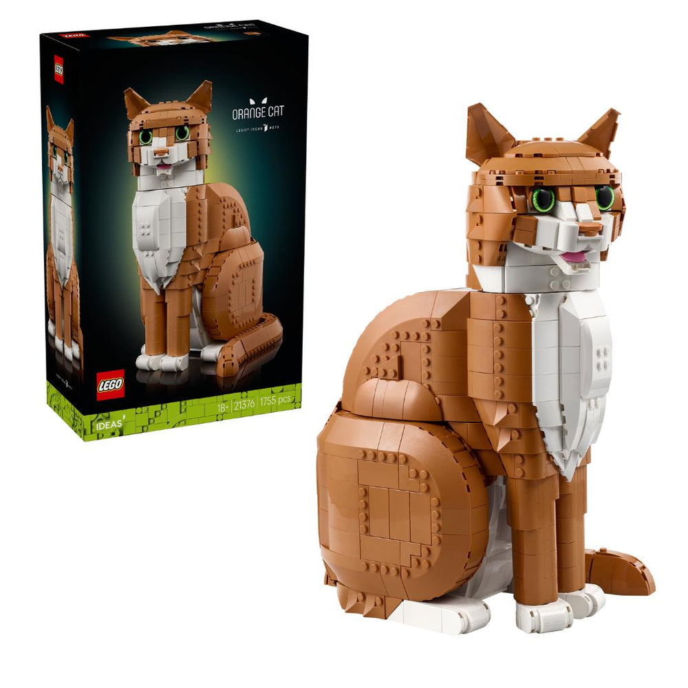 Orange Cat #21376