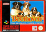 Beethoven