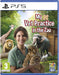 My Vet Practice In The Zoo