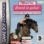 Paard & Pony: Paard in Galop