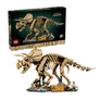 Dinosaur Fossils: Triceratops #77985