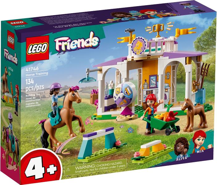 Horse Training #41746