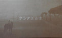 Shadow Of The Colossus [Press Kit]