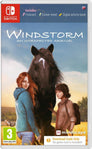 Windstorm: An Unexpected Arrival [Code In Box]
