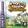 Harvest Moon: Friends of Mineral Town