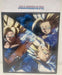 Dragon Ball FighterZ [Press Kit]