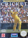 International Cricket