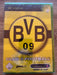 Club Football: Borussia Dortmund