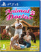 Animal Doctor
