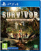 Survivor: Castaway Island