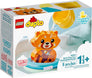 Bath Time Fun: Floating Red Panda #10964