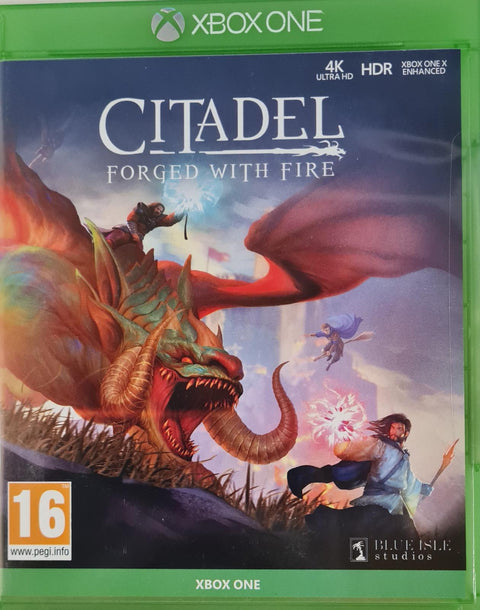 Citadel Forged with Fire