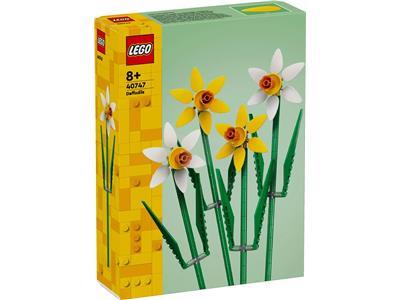 Daffodils #40747