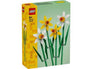 Daffodils #40747
