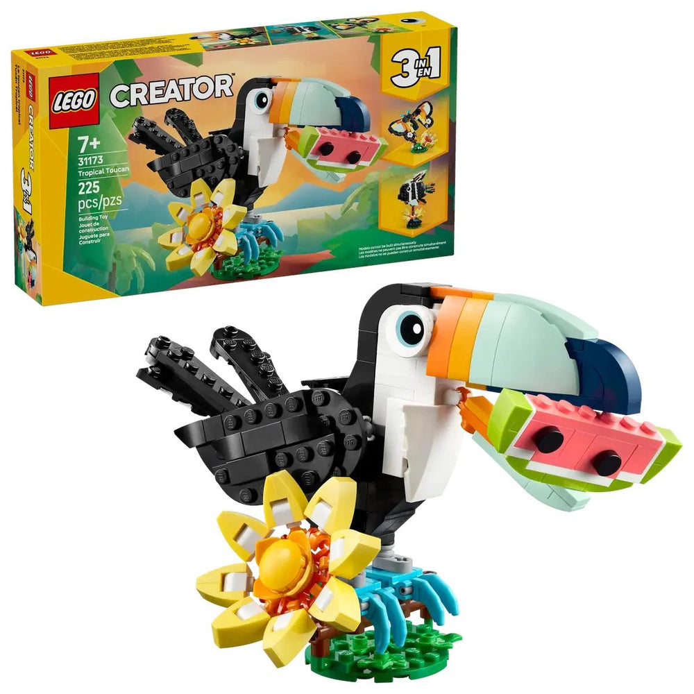 Tropical Toucan #31173