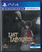 Last Labyrinth