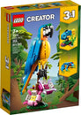 Exotic Parrot #31136