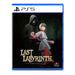 Last Labyrinth