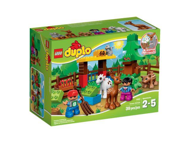 Forest: Animals #10582