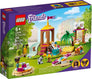 Pet Playground #41698
