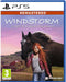Windstorm: Start Of A Great Friendship Remastered