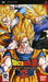 Dragon Ball Z: Shin Budokai 2