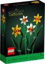 Daffodils #40646