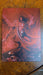 Castlevania Lord's of Shadow 2 [Steelbook Edition]