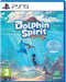 Dolphin Spirit: Ocean Mission