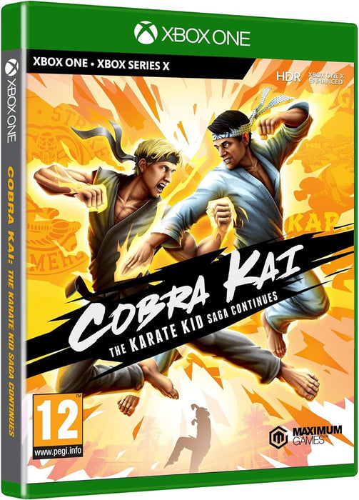 Cobra Kai: The Karate Kid Saga Continues