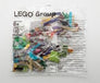 Parts for Brickmaster Friends #11902